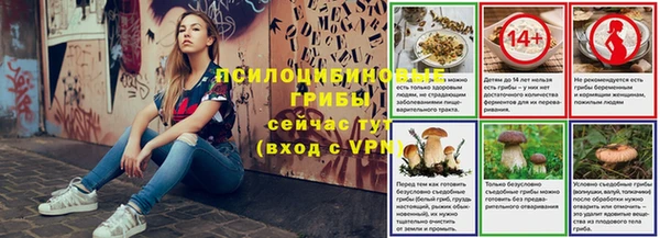 круглые Каменногорск